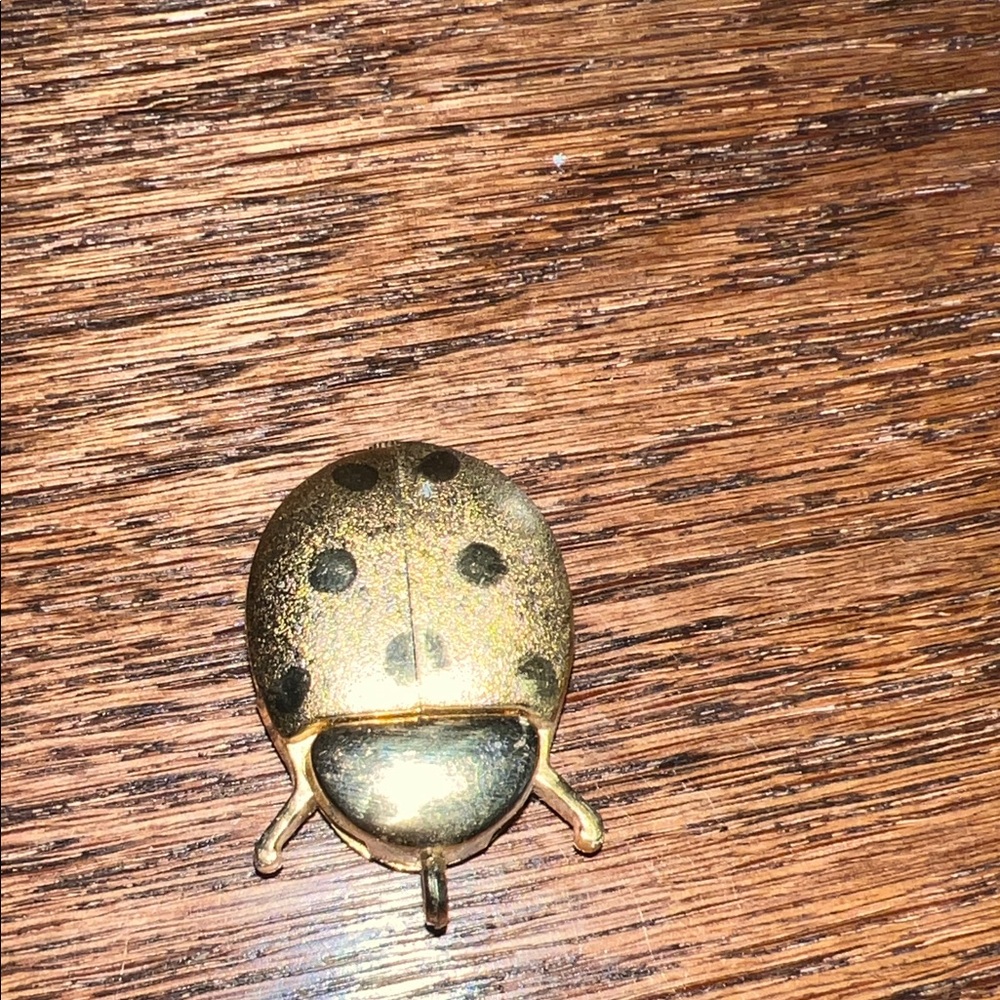 Vintage Goldtone Ladybug Retractable Watch Pendant w/ Swiss Movement Genius